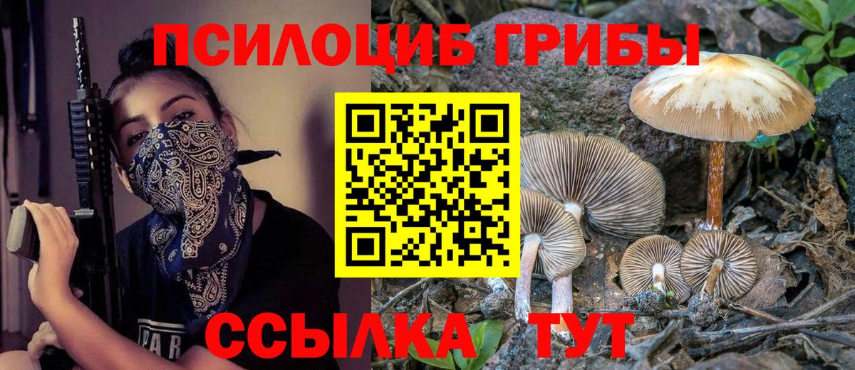 купить наркотик  Вход с VPN  Протвино  Галлюциногенные грибы Magic Shrooms 